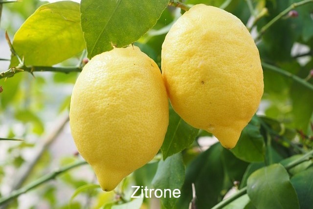 Zitrone2